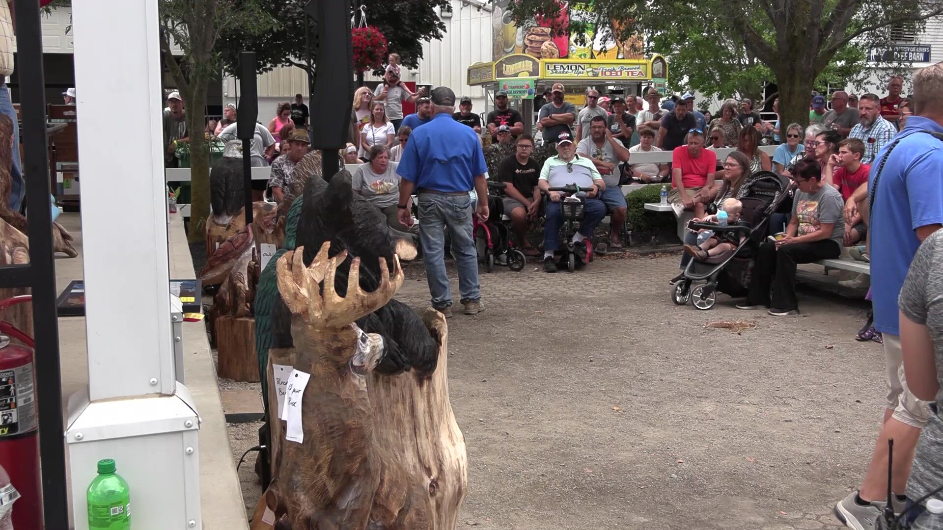 Allen County Fair auction supports students with scholarships, grants